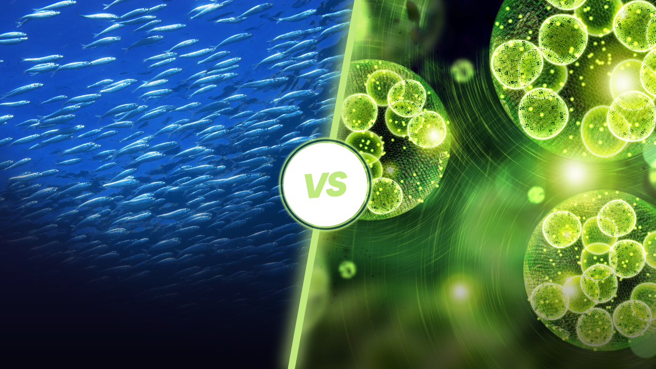 Why Choose Omegavie® Algae Oil Over Fish Oil?